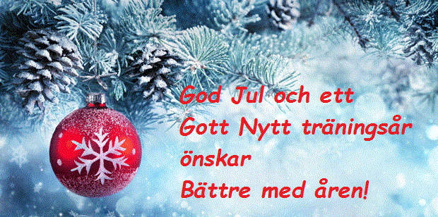 God jul och gott nytt år!